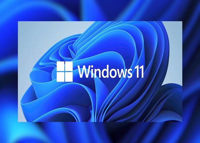 UEFI OEM DVD Windows लाइसेंस कुंजी पूर्ण पैकेज TPM 2.0 Microsoft Windows 11 Pro